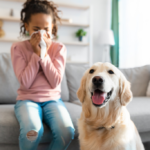 Dicas para cuidar da casa e prevenir alergias